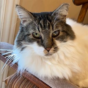 Meet your Posher, Douglas